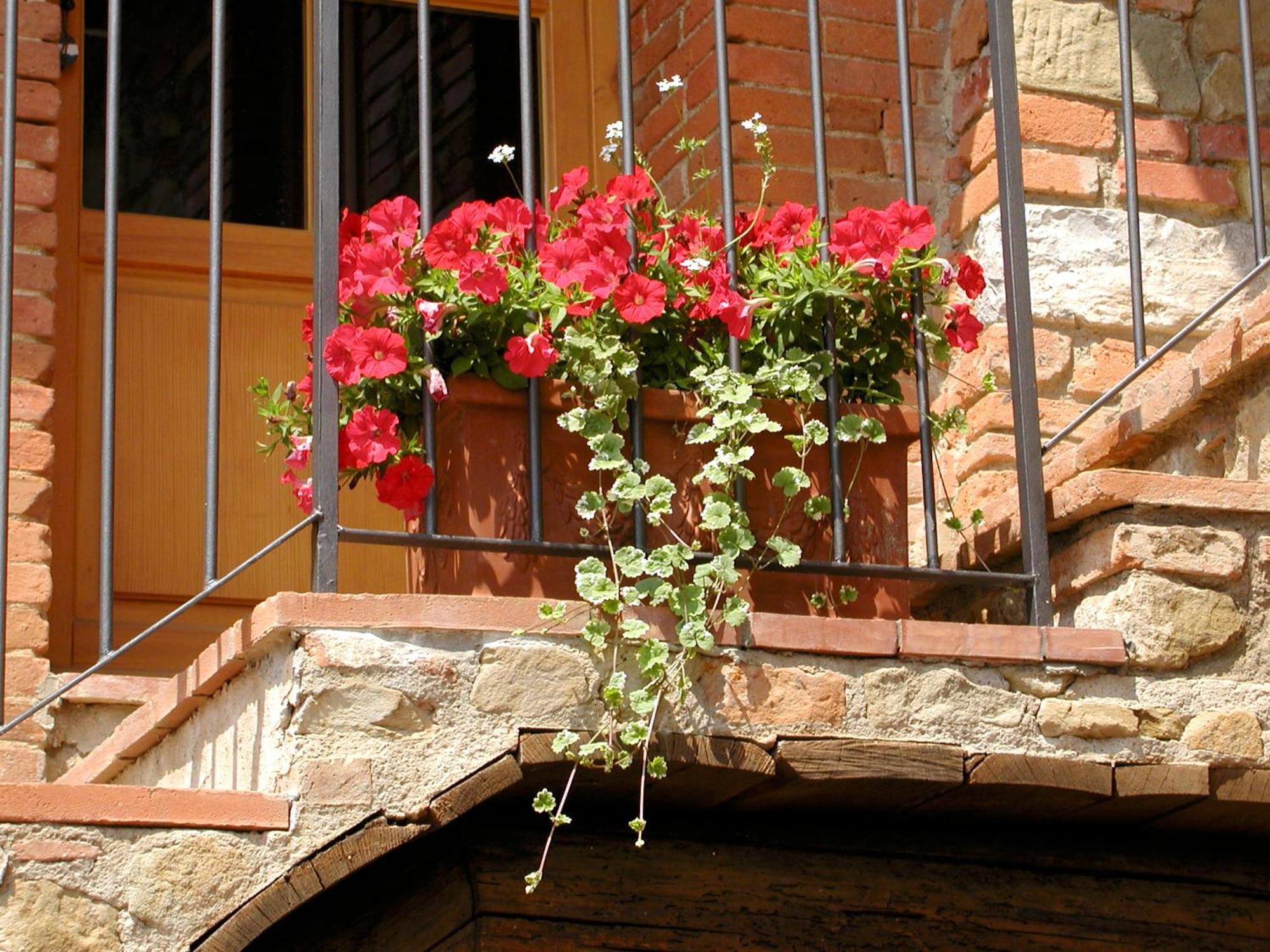 Ventena Vecchia Antico Frantoio Montevarchi Exterior photo